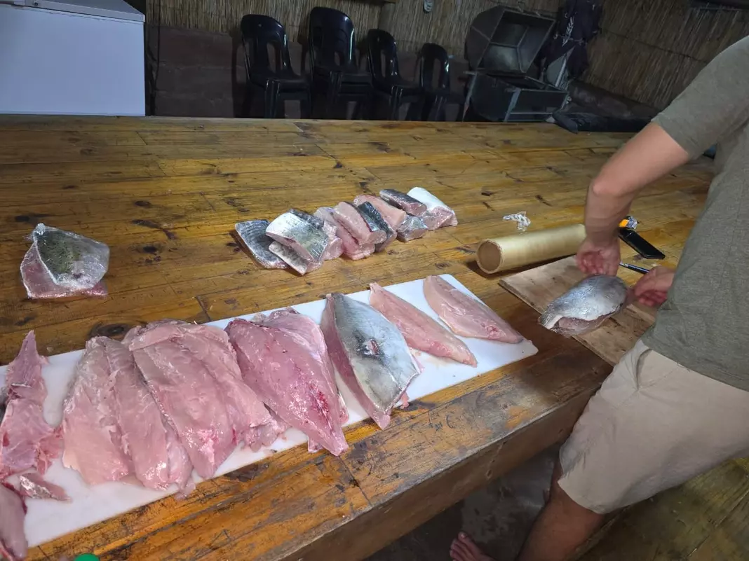 Pieces of chopped fish